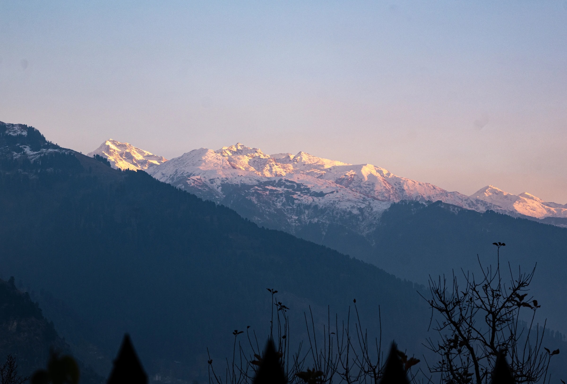 Himalayan peaks lit by alpenglow, dark forested foreground.